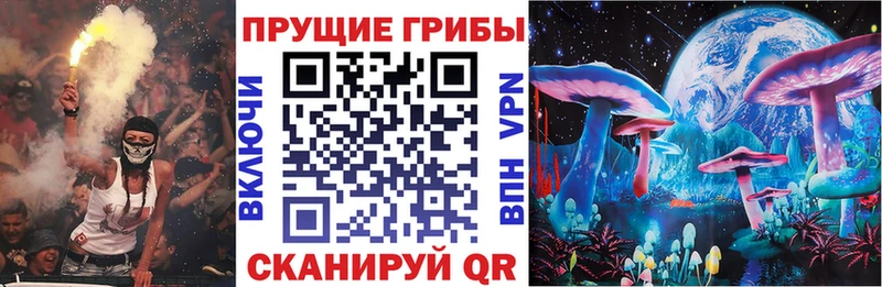 Псилоцибиновые грибы Magic Shrooms ОМГ ОМГ ССЫЛКА Георгиевск