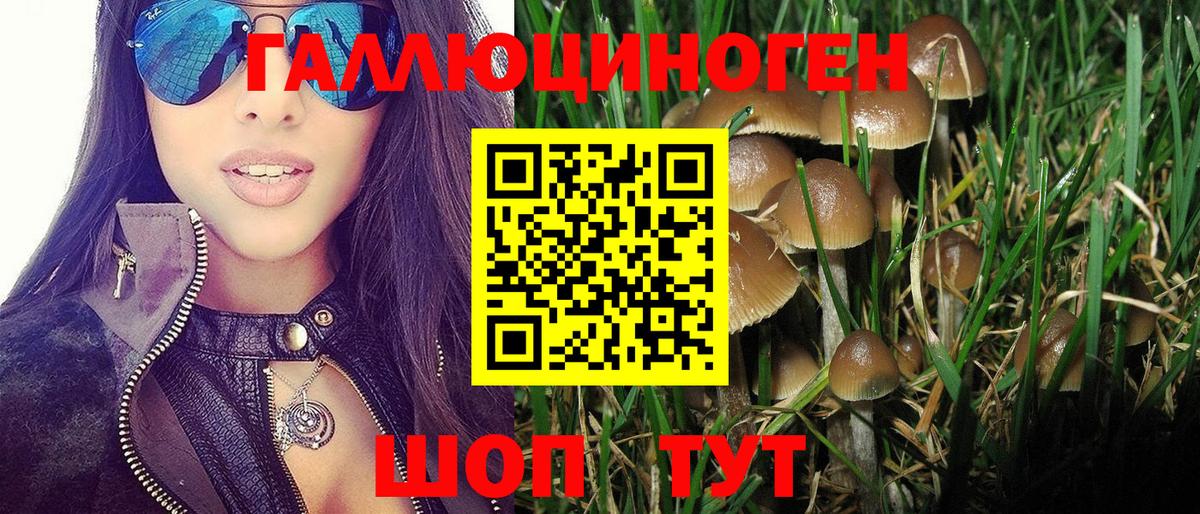 Георгиевск  Галлюциногенные грибы MAGIC MUSHROOMS  цены наркотик  Вход с VPN 