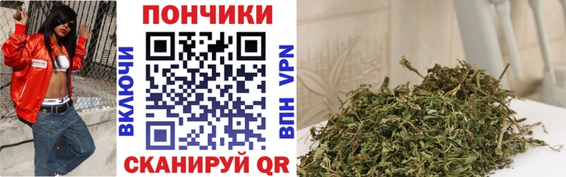 mega маркетплейс Георгиевск Шишки марихуана Amnesia где купить наркотик