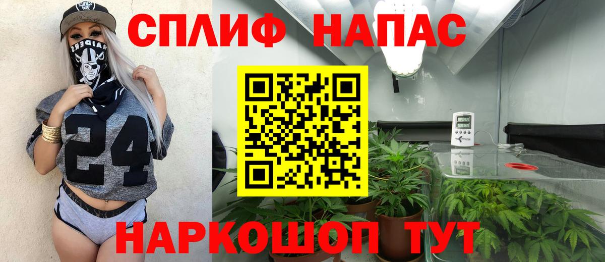 Каннабис SATIVA & INDICA  Канабис White Widow  Шишки марихуана THC 21%  Георгиевск  Вход с VPN 